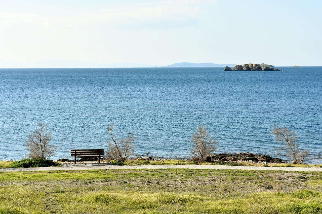 El Mar, 2 Bdr Seaview Apartment, 7 Min From Beach Lagonisi Zewnętrze zdjęcie